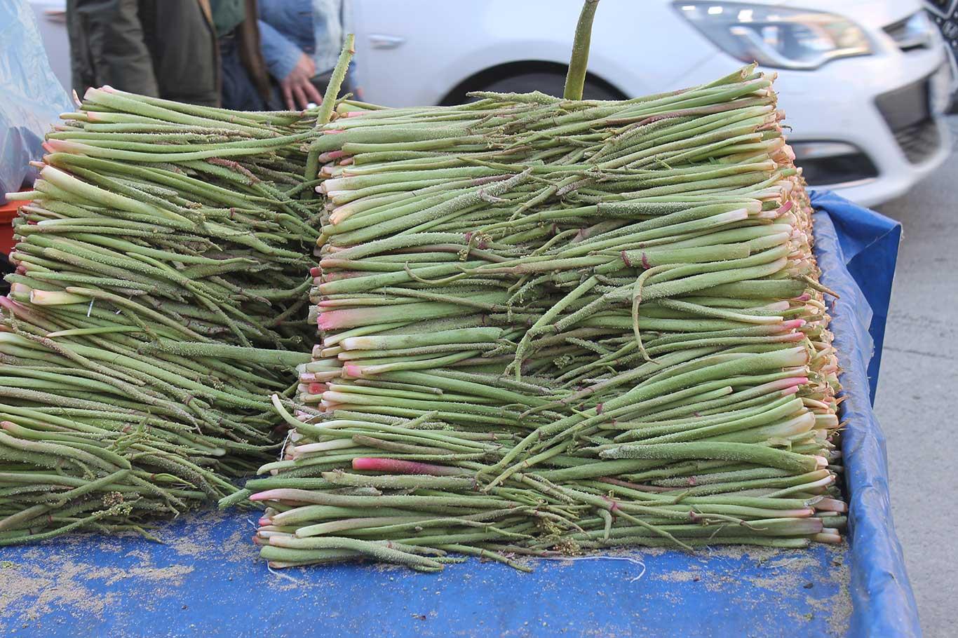 Uçkun (yayla muzu) tezgâhlardaki yerini almaya başladı Uçkun (yayla muzu) tezgâhlardaki yerini almaya başladı
